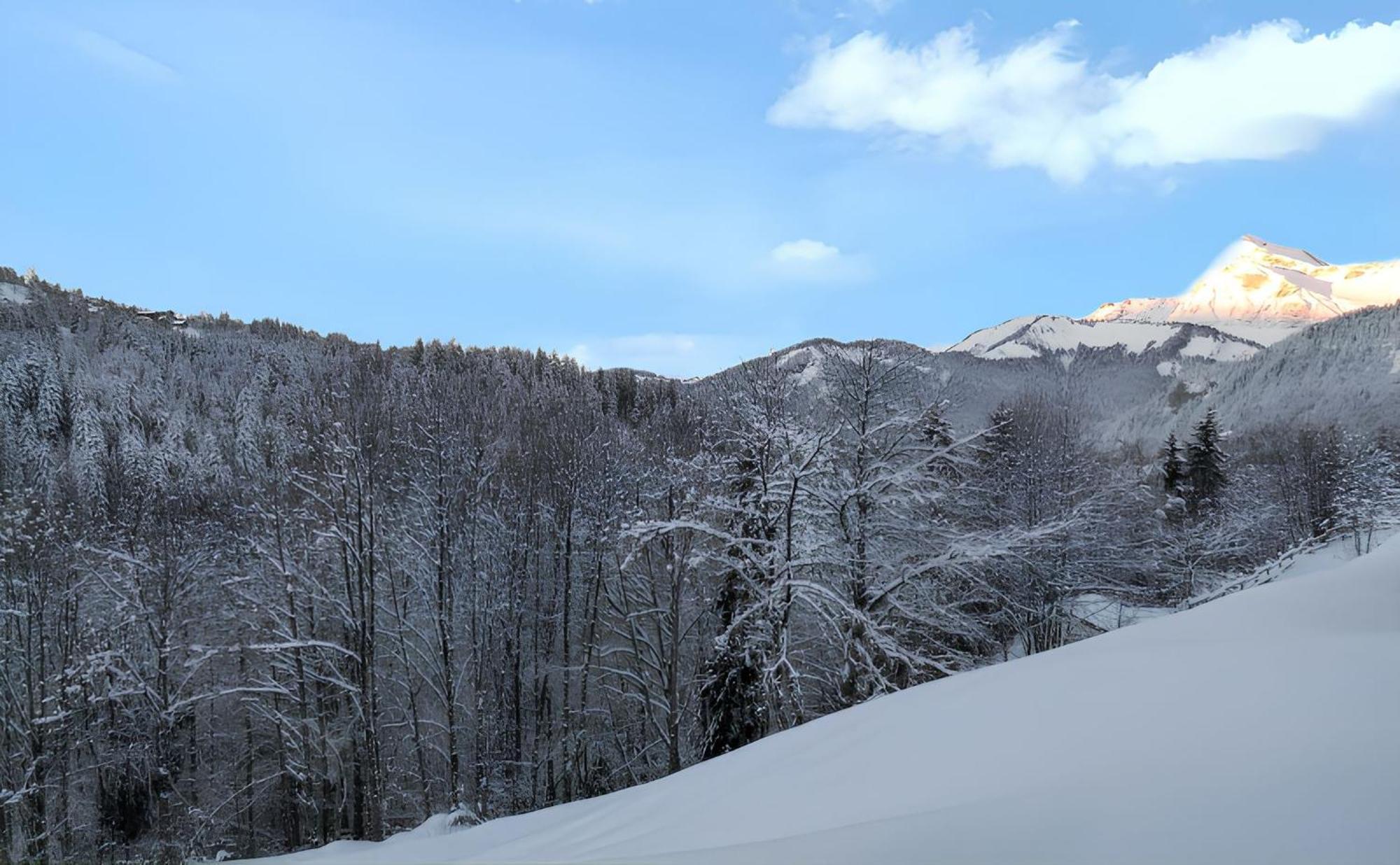 Appartement Confortable Avec Vue Sur La Montagne Notre-Dame-de-Bellecombe Exteriör bild